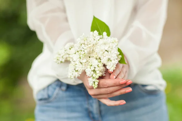 Manos Mujer Sosteniendo Flores Color Lila Blanco Sus Manos Puede —  Fotos de Stock