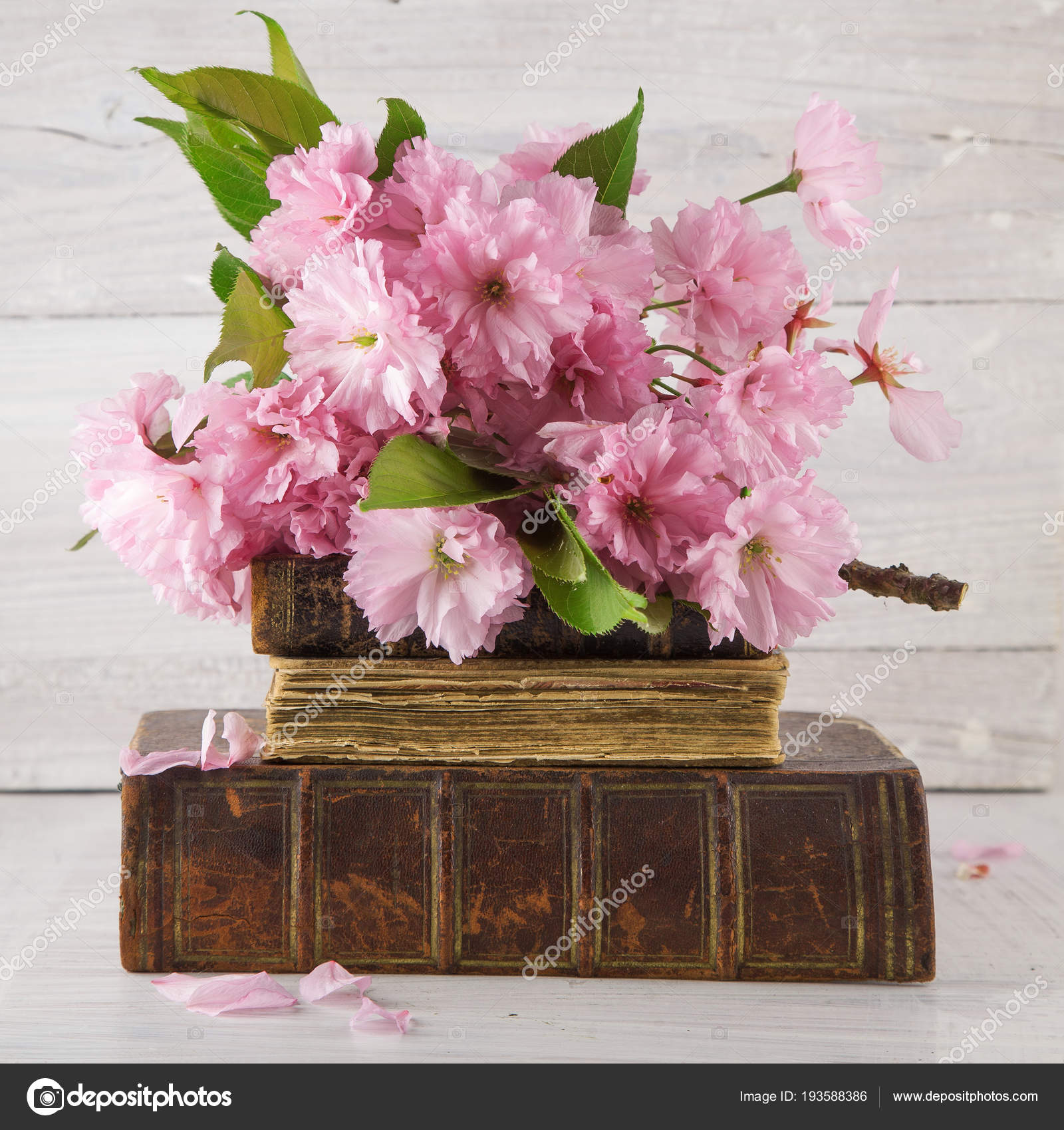 Wood Sola Flowers Rustic Farmhouse Floral Par