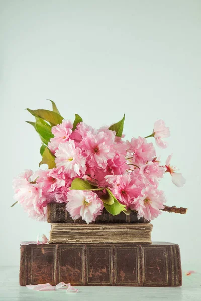 Vintage Novel Books Bouquet Cherry Blossom Flowers White Wood Background — Stock Photo, Image
