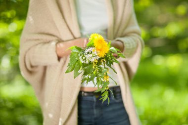 Ormandaki yabani otlar holding güzel kadın eller arka plan olarak kullanılabilir