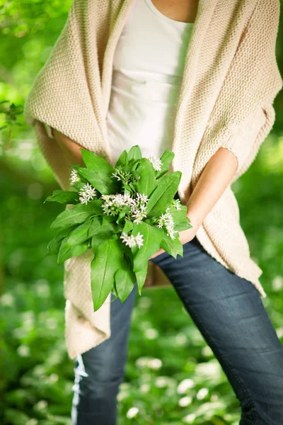 Woman Hands Holding Wild Garlic Forest Can Used Background — Stock Photo, Image