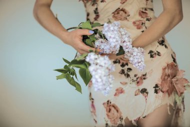 Taze Menekşe leylak çiçekler holding kadın eller, şehvetli kırsal stüdyo çekim arka plan olarak kullanılabilir
