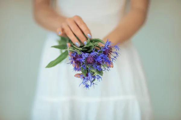 Woman Hands Holding Fresh Blue Cornflowers Sensual Rural Studio Shot — Stock Photo, Image