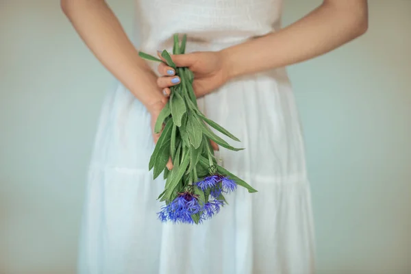 Manos Mujer Sosteniendo Flores Maíz Azul Fresco Sensual Tiro Estudio — Foto de Stock