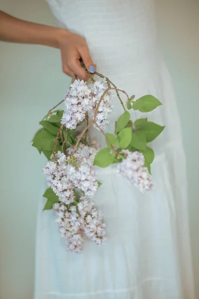 Woman Hands Holding Fresh Violet Lilac Flowers Sensual Rural Studio — Stock Photo, Image