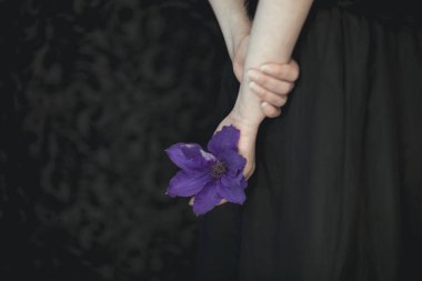 woman hands holding fresh violet clematis flowers, very dark atmospheric sensual rural studio shot can be used as background clipart