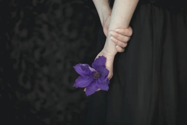 Mãos Mulher Segurando Flores Violeta Clematis Frescos Muito Escuro Atmosférico — Fotografia de Stock