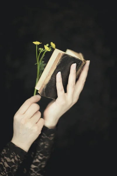 Woman Hands Holding Vintage Old Book Flower Very Dark Atmospheric — Stock Photo, Image