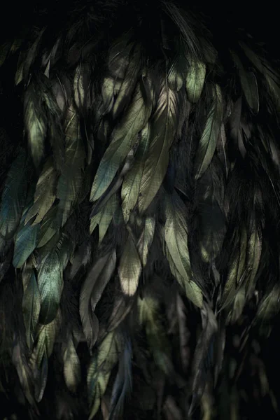 Černé Peří Tyrkysová Zelená Černém Lze Použít Jako Pozadí — Stock fotografie