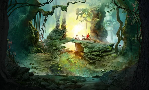 Mély Erdőben Hangulatos Táj Boltíves Ősi Fák Ködös Ködös Hangulat Stock Kép