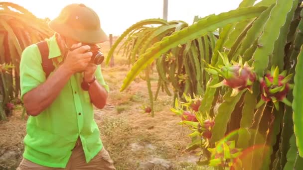 Tourist macht Foto — Stockvideo