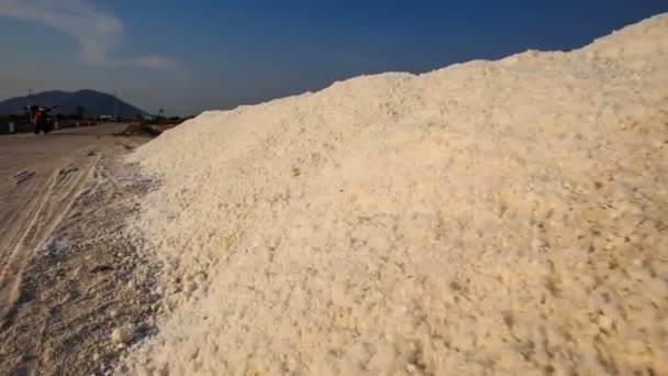 Gran pila de sal blanca — Vídeos de Stock