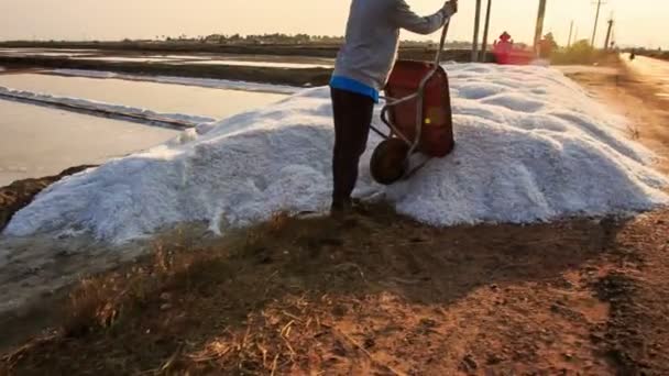 越南农民卸载白色的盐从手推车到堆在盐生产农场湖路上 — 图库视频影像
