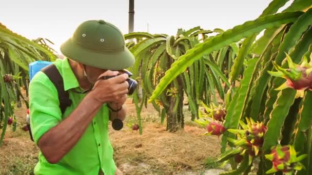 Tourist macht Foto — Stockvideo