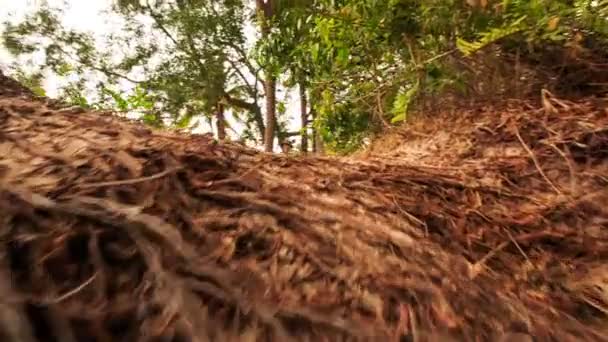 Hombre mayor en Vietnam — Vídeo de stock