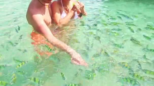 Primo piano ragazzo ragazza in trasparente acqua cattura striscia pesce — Video Stock