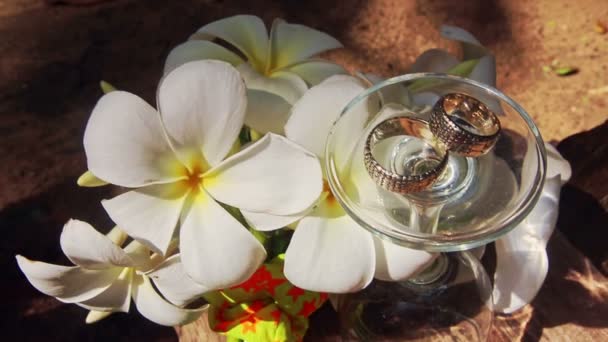 Entregado anillos de boda de cristal de vino en la parte superior por flores blancas — Vídeo de stock