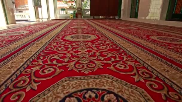 Fermer Vue du tapis déployé — Video