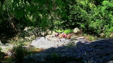 İnsanlar tropikal vahşi kökleri soyma