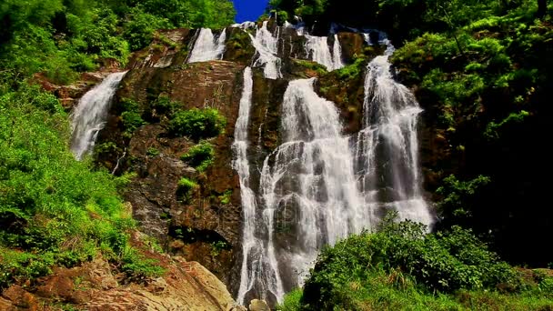 Cascada de munte spumoasă cascadă — Videoclip de stoc