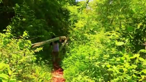 Люди с длинными бамбуковыми ветвями — стоковое видео