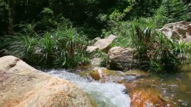 Hızlı dağ nehir buzlu 