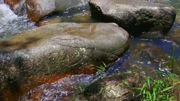 Waterfall and foamy stream — Stock Video