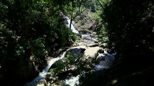 Pequeno rio de montanha — Vídeo de Stock