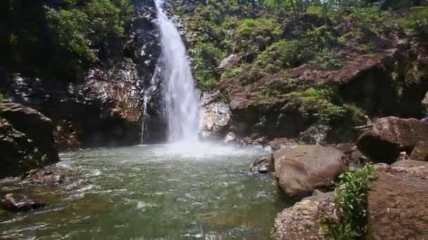 Waterfall Foamy Stream — Stock Video