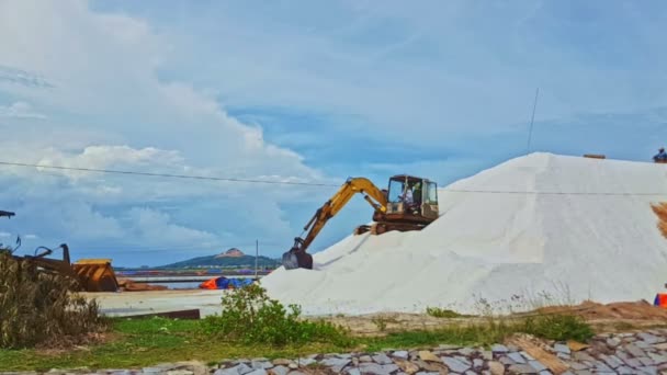 Excavatrice fonctionne sur un gros tas de sel — Video