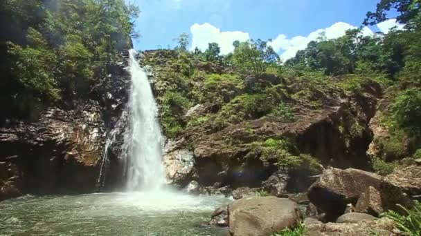 Wasserfall stürzt mit Schaum in Teich — Stockvideo