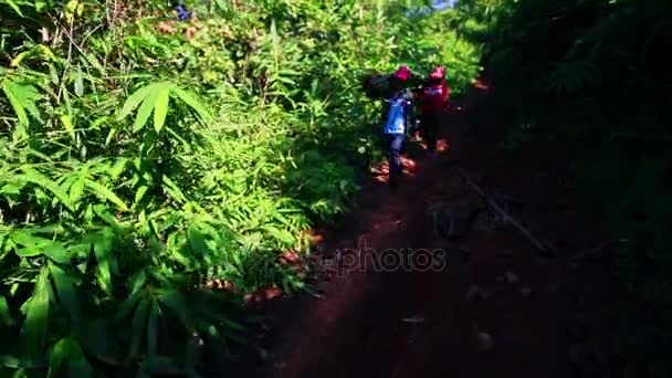 Lidé nesou bambusové stonky po stinné stezce v džungli — Stock video