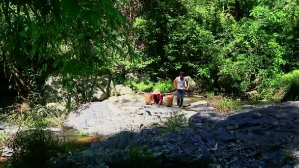 Vahşi kökleri insanlar Sunny banka soyma — Stok video