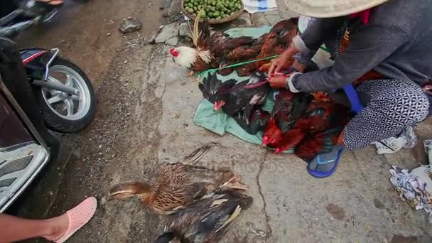 Местный торговец связывает петухи, чтобы продать на тротуаре — стоковое видео