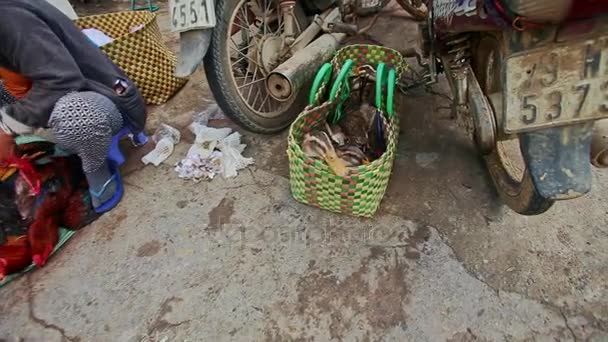 Vendedor local ata pollas en el pavimento por Scooter — Vídeo de stock
