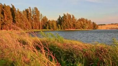 rüzgarlı hava gölde