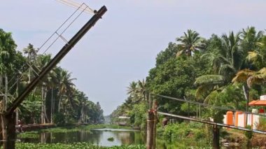 Su bitkileri ile sakin nehir