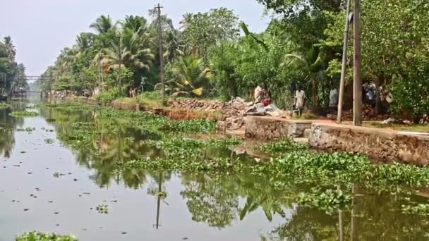 Ruhiger Fluss mit tropischen Wasserpflanzen — Stockvideo