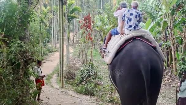 Turisti a cavallo su un grande elefante — Video Stock