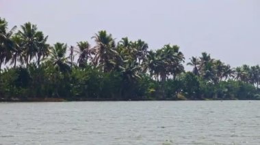 Palm bankalar arasında geniş nehir 