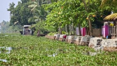 nehir su bitkiler tarafından köy ile