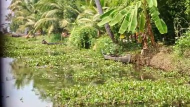 nehir boyunca hareketli kamera 
