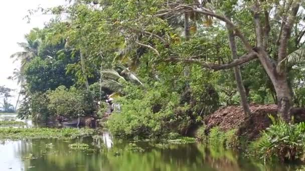 Caméra se déplaçant le long de rivière — Video