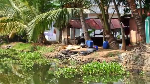 River with water plants by village — Stock Video