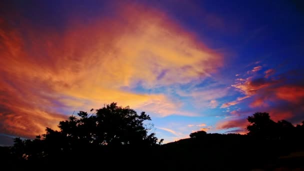 Φανταστική πορτοκαλί ηλιοβασίλεμα πάνω από το τροπικό δάσος — Αρχείο Βίντεο