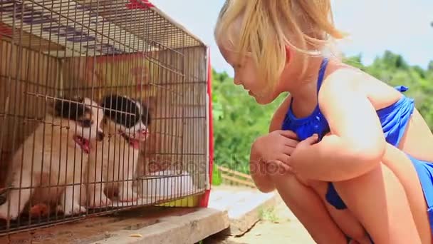 Κοριτσάκι παίζει με μικρά σκυλάκια — Αρχείο Βίντεο