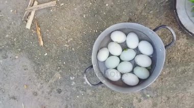 Metalik tencerede tavuk yumurta yalan