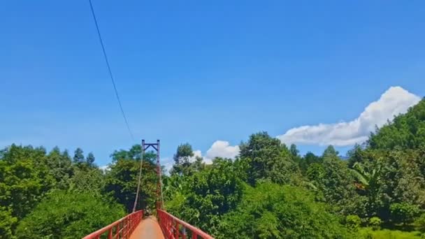 Kamera bewegt sich durch Brücke durch tropischen Dschungel — Stockvideo