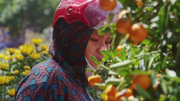 Woman looks at mandarin tree on street market — Stock Video