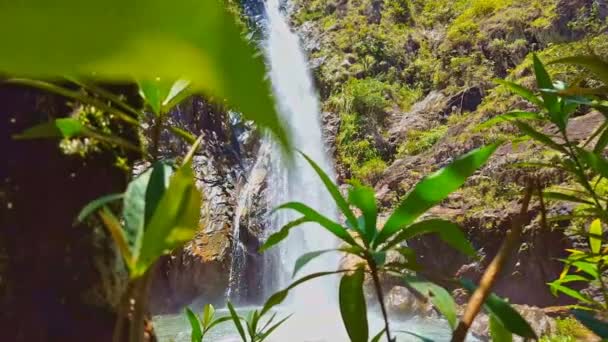 Wasserfall zwischen Waldfelsen stürzt in Teich — Stockvideo
